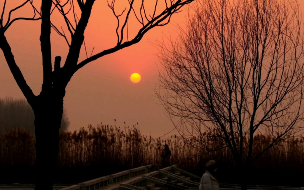 骆马湖的日落,哪哪都是那么美好