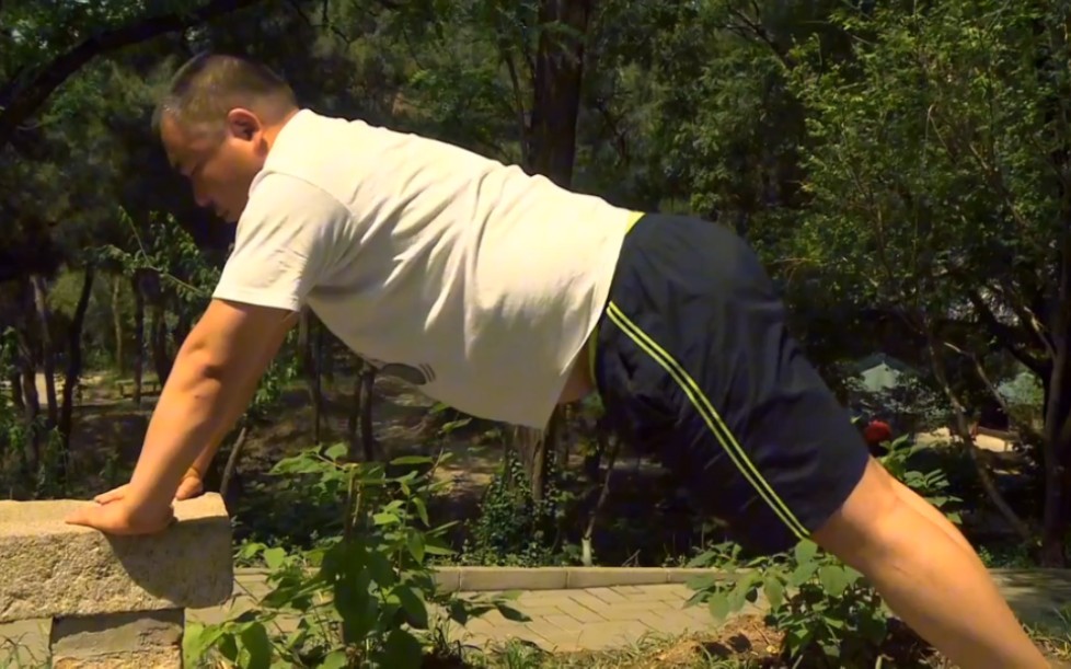 现在高画质的中国熊片是不是没人拍了啊(u熊胖熊壮熊爸爸中年大叔)