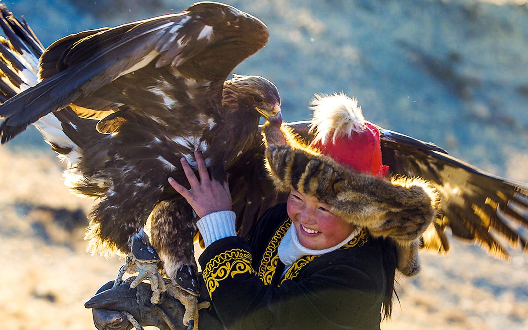 女猎鹰人.2018[imdb 7.5,豆瓣8.1][高清][英字]_哔哩哔哩_bilibili