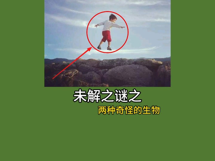 巨型海怪现世?哔哩哔哩bilibili