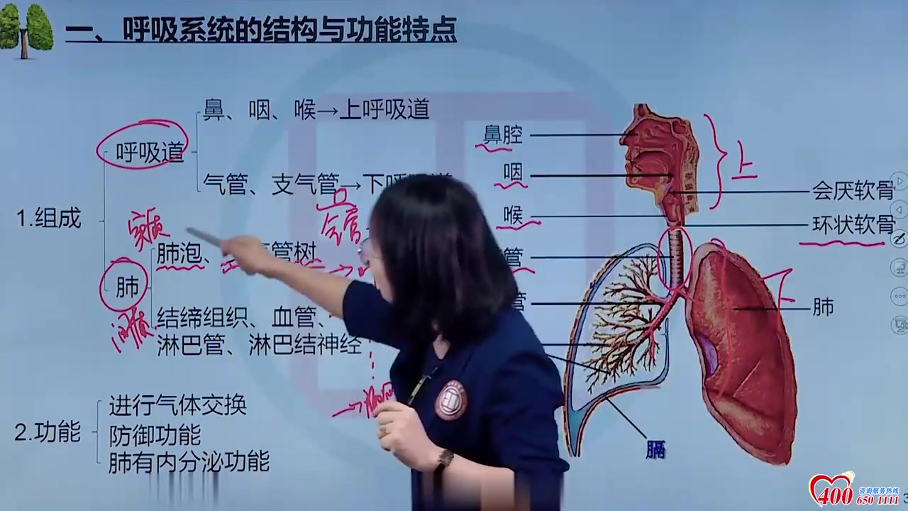 [图]2024最新版 临床执业医师（助理） 呼吸系统 老师精讲完整版