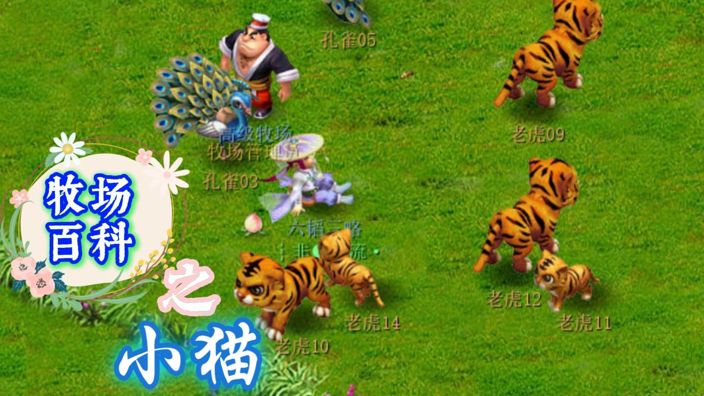 牧场百科之小猫（小狗）