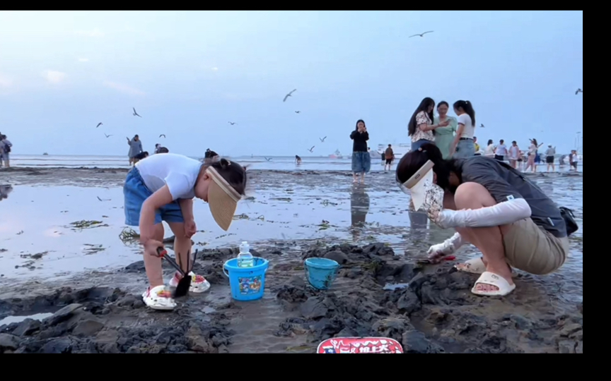 威海国际海水浴场赶海图片