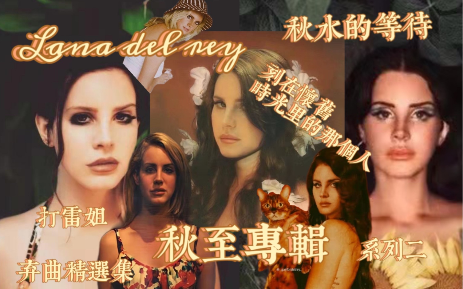 【Lana Del Rey 秋至专】:秋水的等待,刻在怀旧时光里的那个人哔哩哔哩bilibili