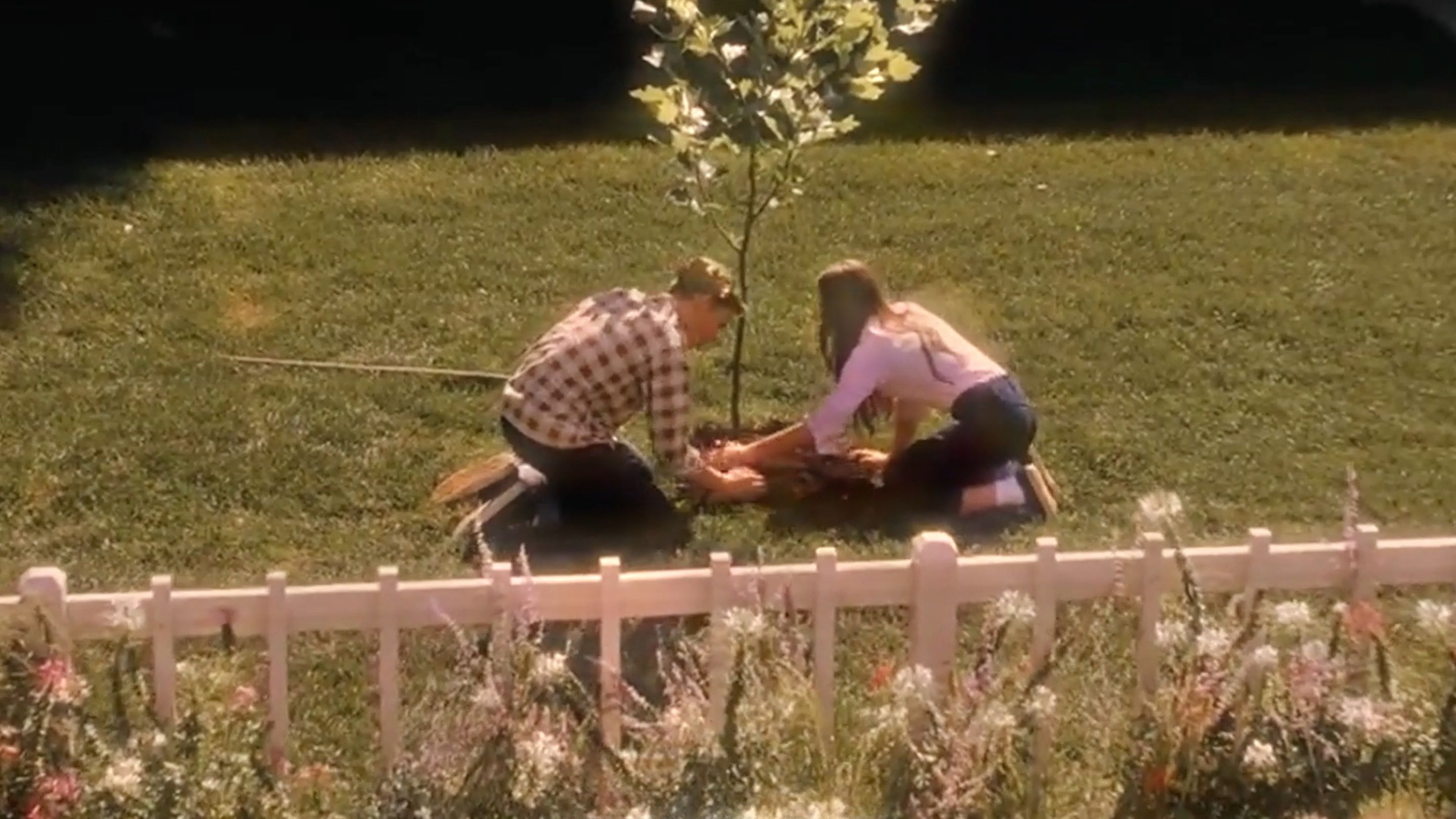 怦然心动(电影剪辑)