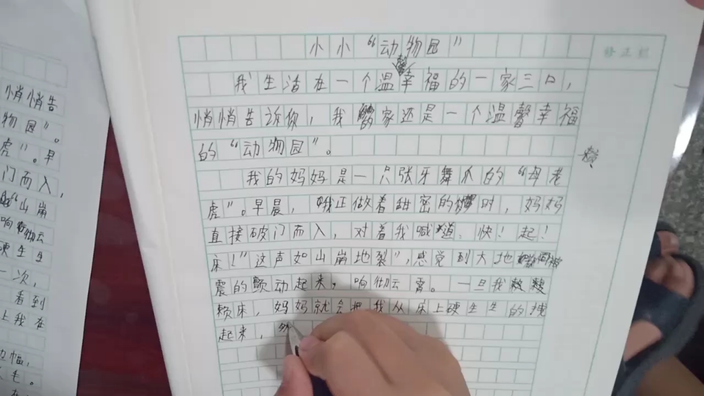 [图]小学生作文《小小动物园》?????