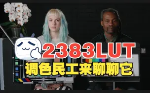 Video herunterladen: 调色民工眼中的“2383”到底是咋回事。