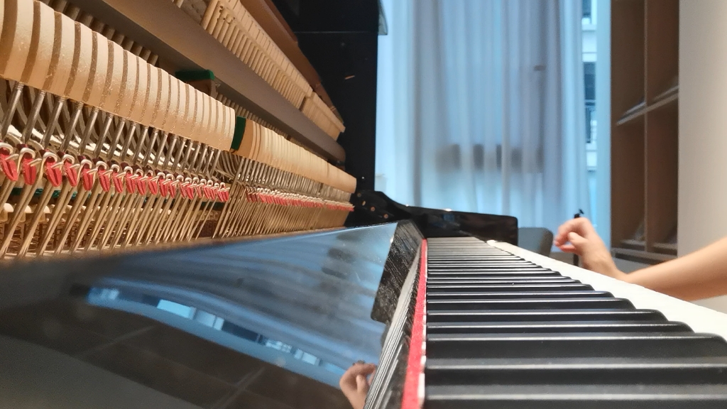 【钢琴】鸟之诗(勾史改编版)