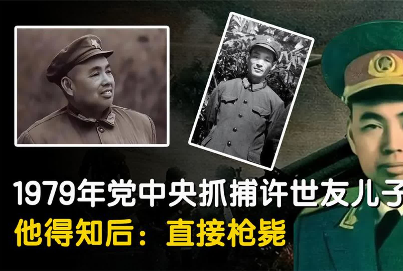 1979年,党中央抓捕了许世友儿子,许世友得知后表示:直接枪毙哔哩哔哩bilibili