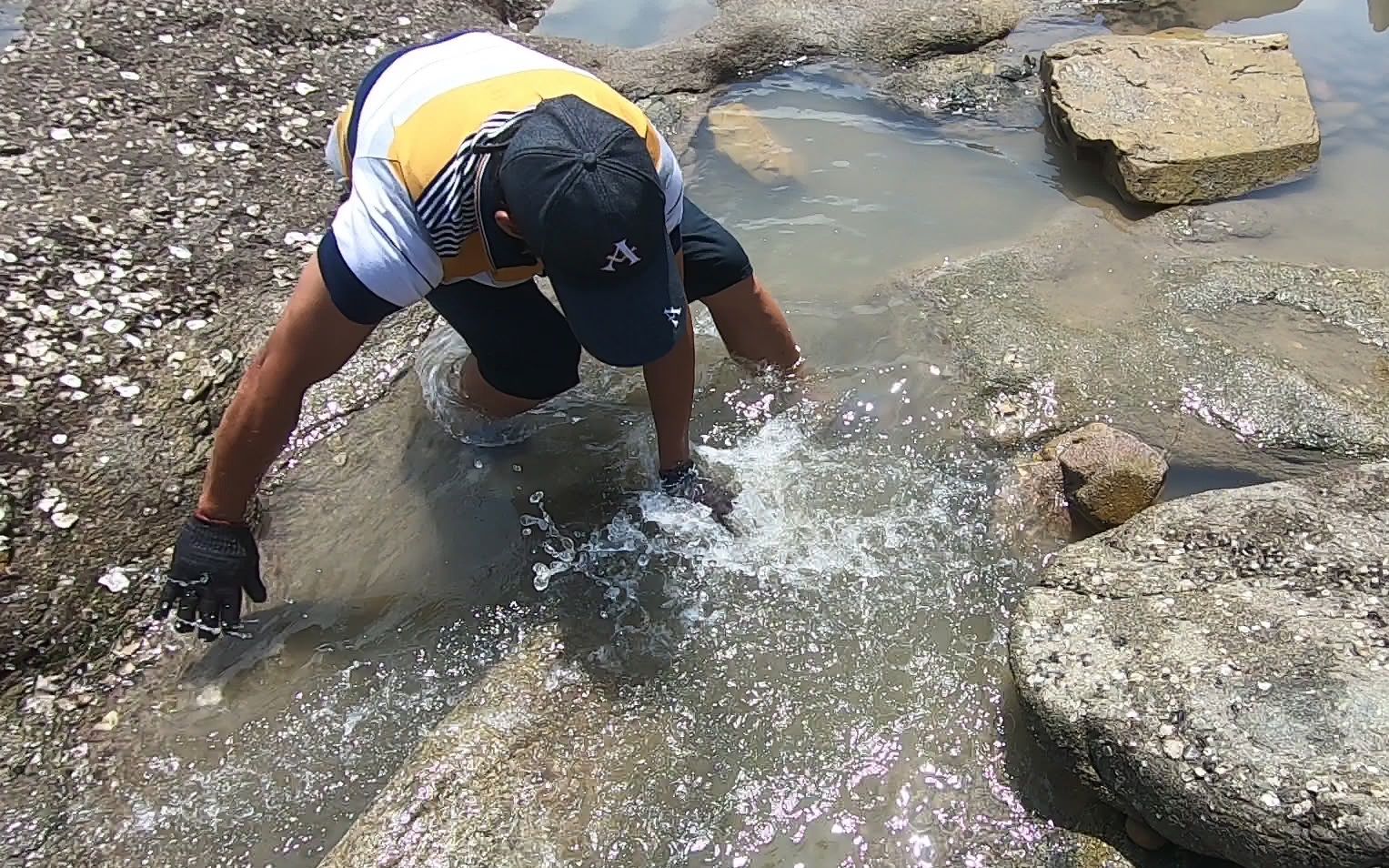 馒头赶海发现一个浑潭,底下一摸软软的,比抓几十只大螃蟹还过瘾