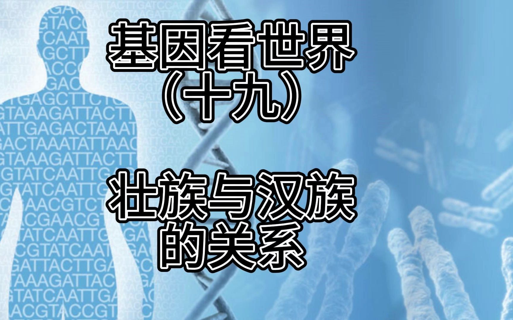 壮族的起源,以及与汉族的关系,从基因角度来看一下!哔哩哔哩bilibili