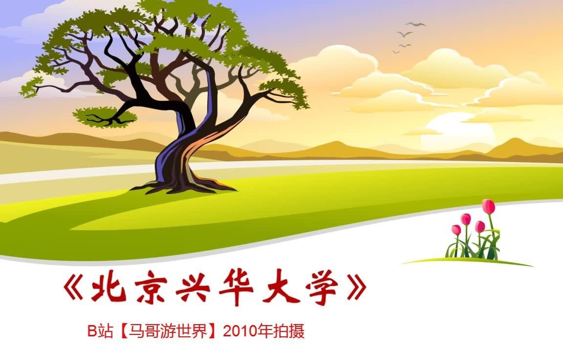 2010年的【北京兴华大学】