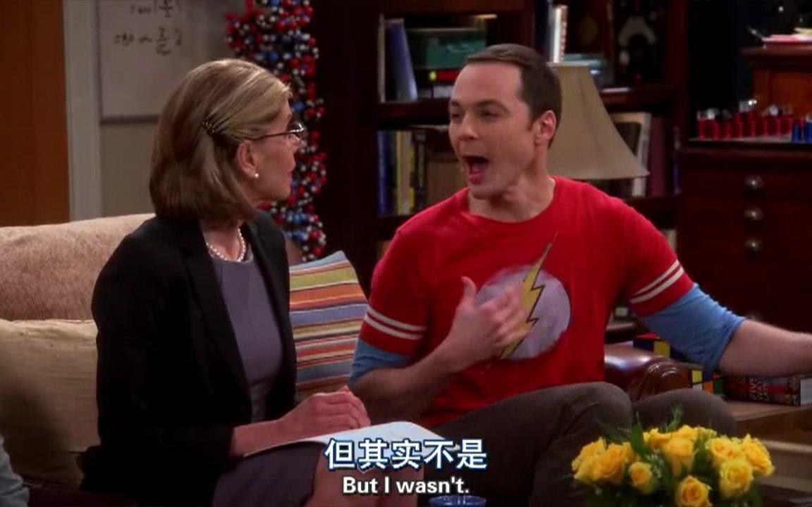 当sheldon的妈妈与leonard的妈妈相遇