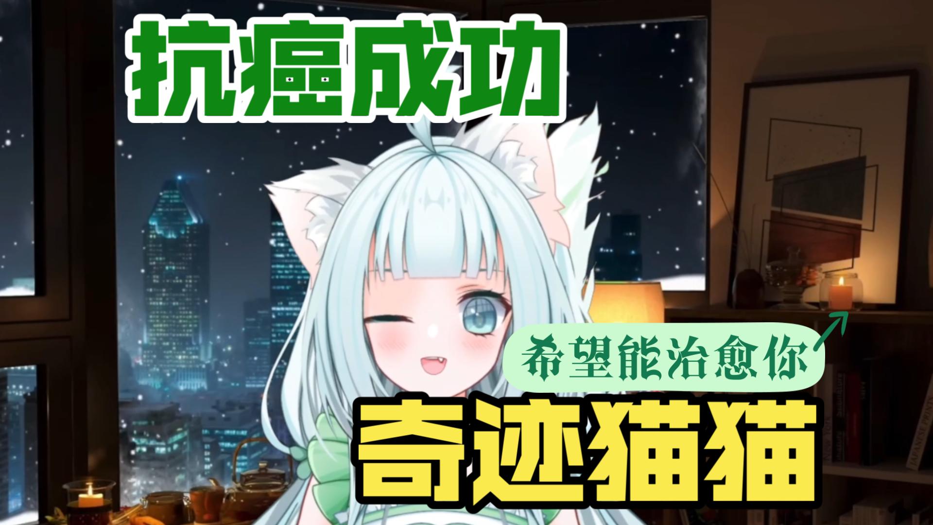 捷报！抗癌成功啦✨癌症痊愈的传奇猫猫！！！祝愿天下所有人远离疾病和痛苦！治愈系猫猫，希望能传递更多快乐和正能量，希望能治愈你！