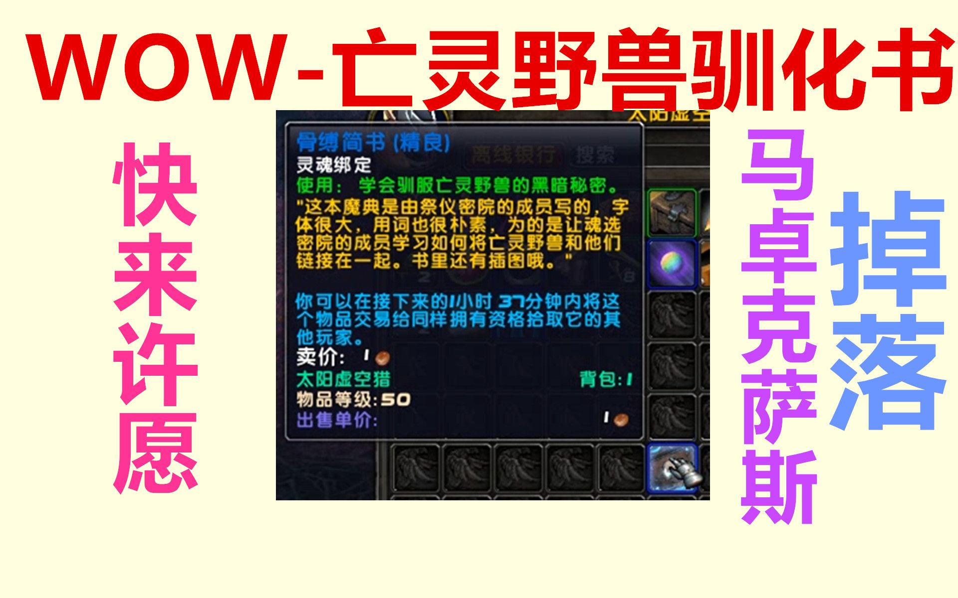 【太阳】WOW亡灵野兽驯化书:骨缚简书,学会驯服亡灵野兽的黑暗秘密!还不快来许愿!哔哩哔哩bilibili