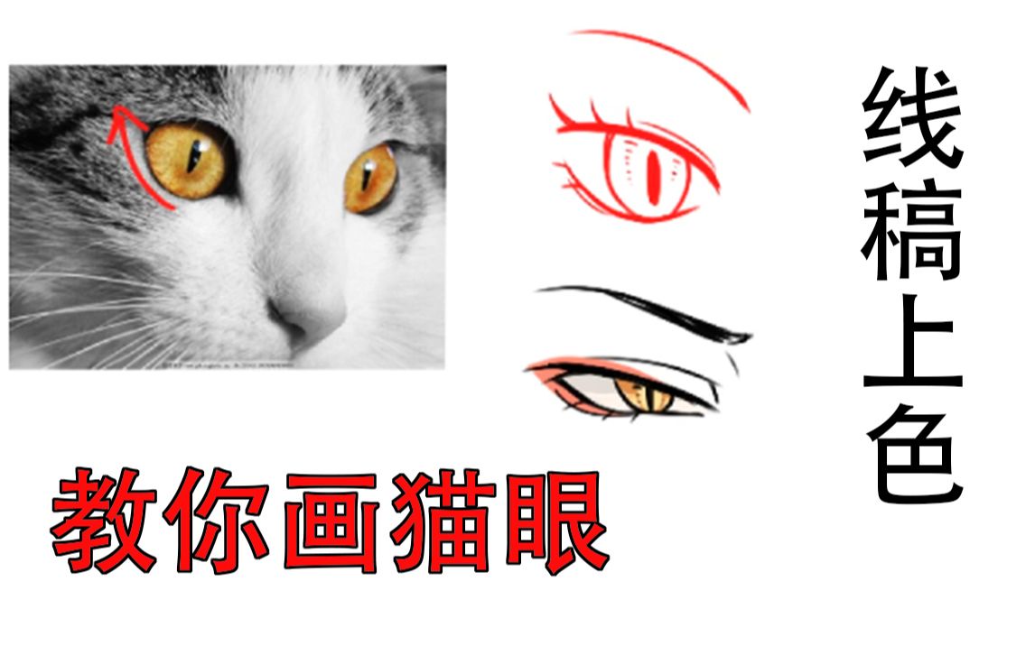 【板绘教程】猫眼还没画过吧 ,偏门技巧板绘画法.哔哩哔哩bilibili