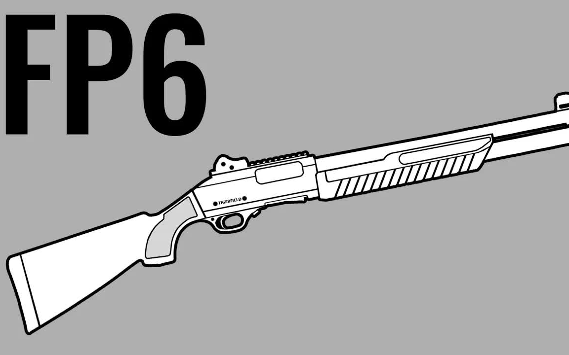 FABARM FP6霰弹枪  在5款随机游戏中的枪声&装填对比哔哩哔哩bilibili演示