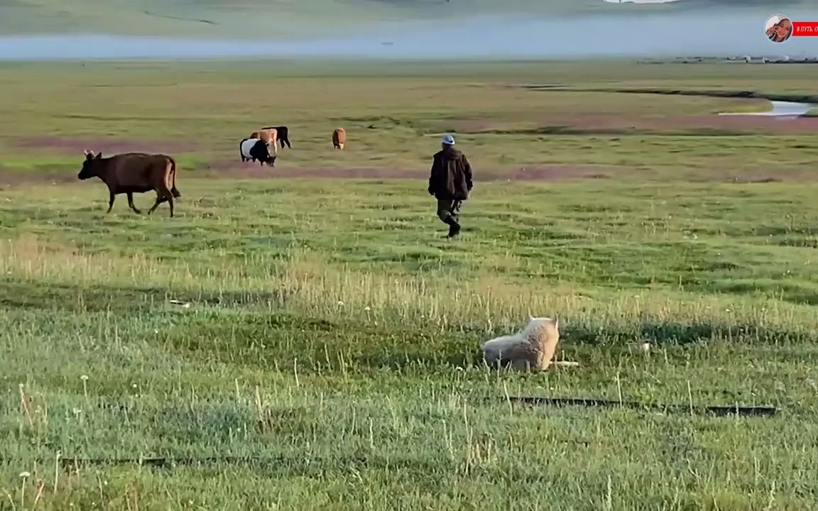 [图]蒙古国游牧民族的早晨