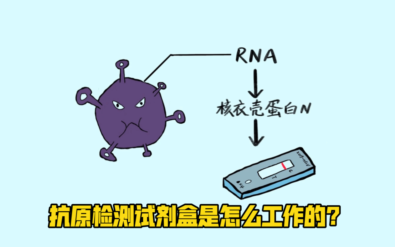 【生物学科普视频】抗原检测试剂盒是怎么工作的?知道什么是抗体的都能看懂的两分钟视频哔哩哔哩bilibili