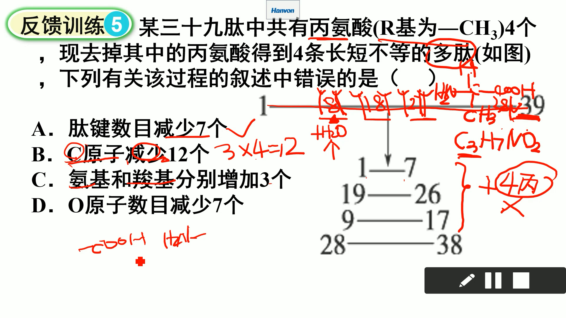 啦啦啦开心开心欧耶耶耶耶