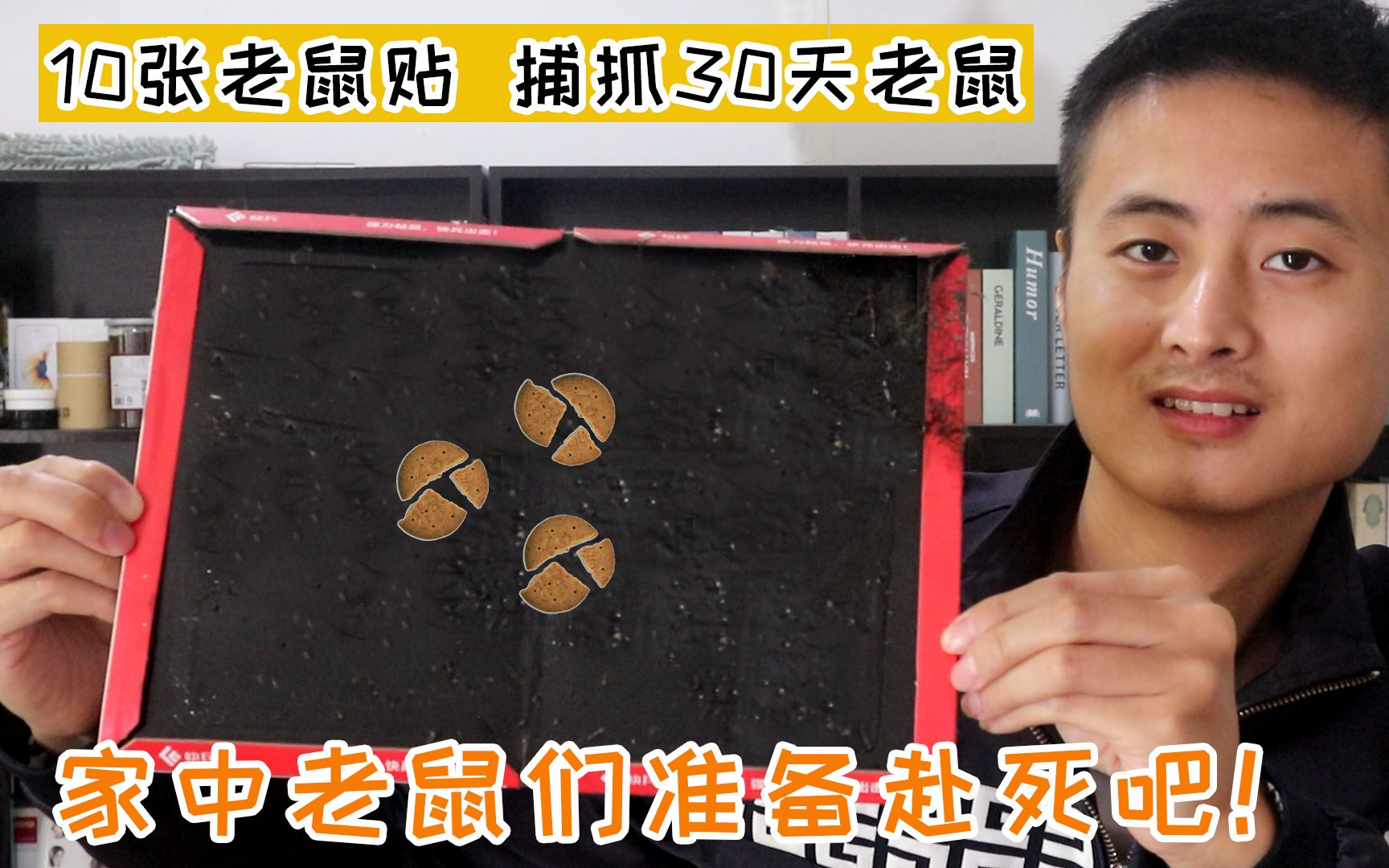 挑战用老鼠贴捕捉30天老鼠家里的老鼠兄弟们准备好了吗这次在劫难逃了