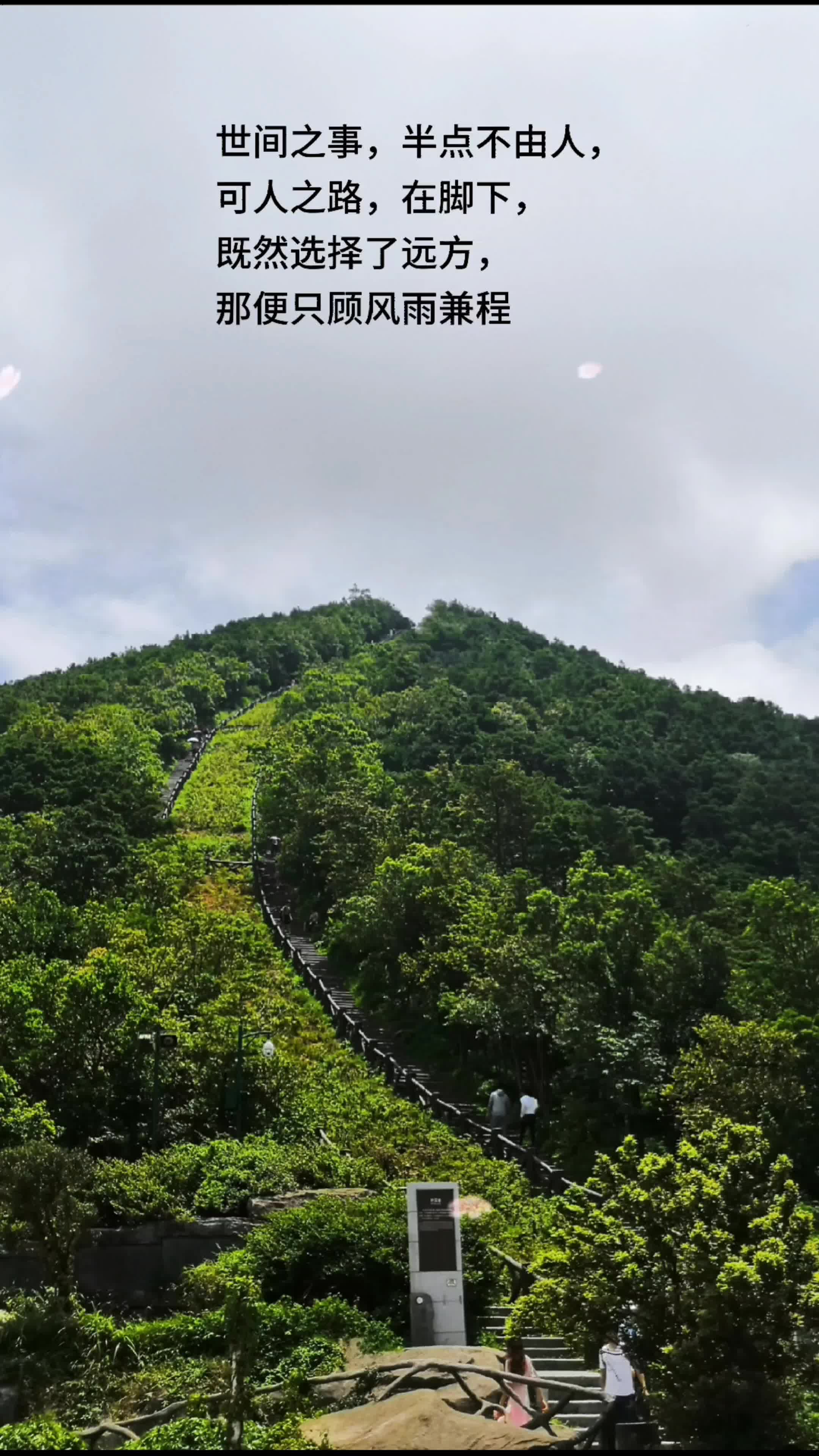 既然选择了远方,那便只顾风雨兼程