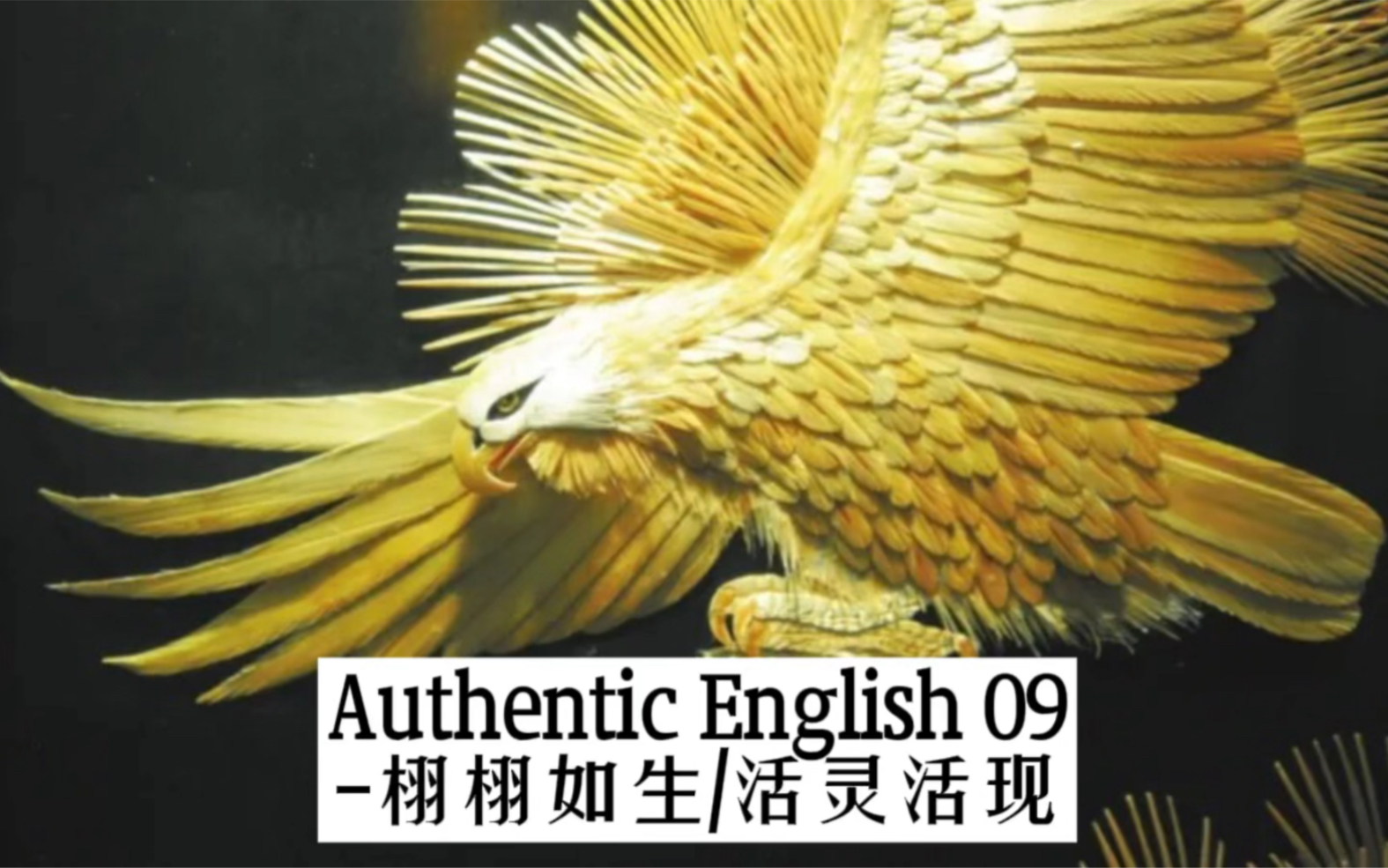 Authentic English 归属感认同感哔哩哔哩bilibili