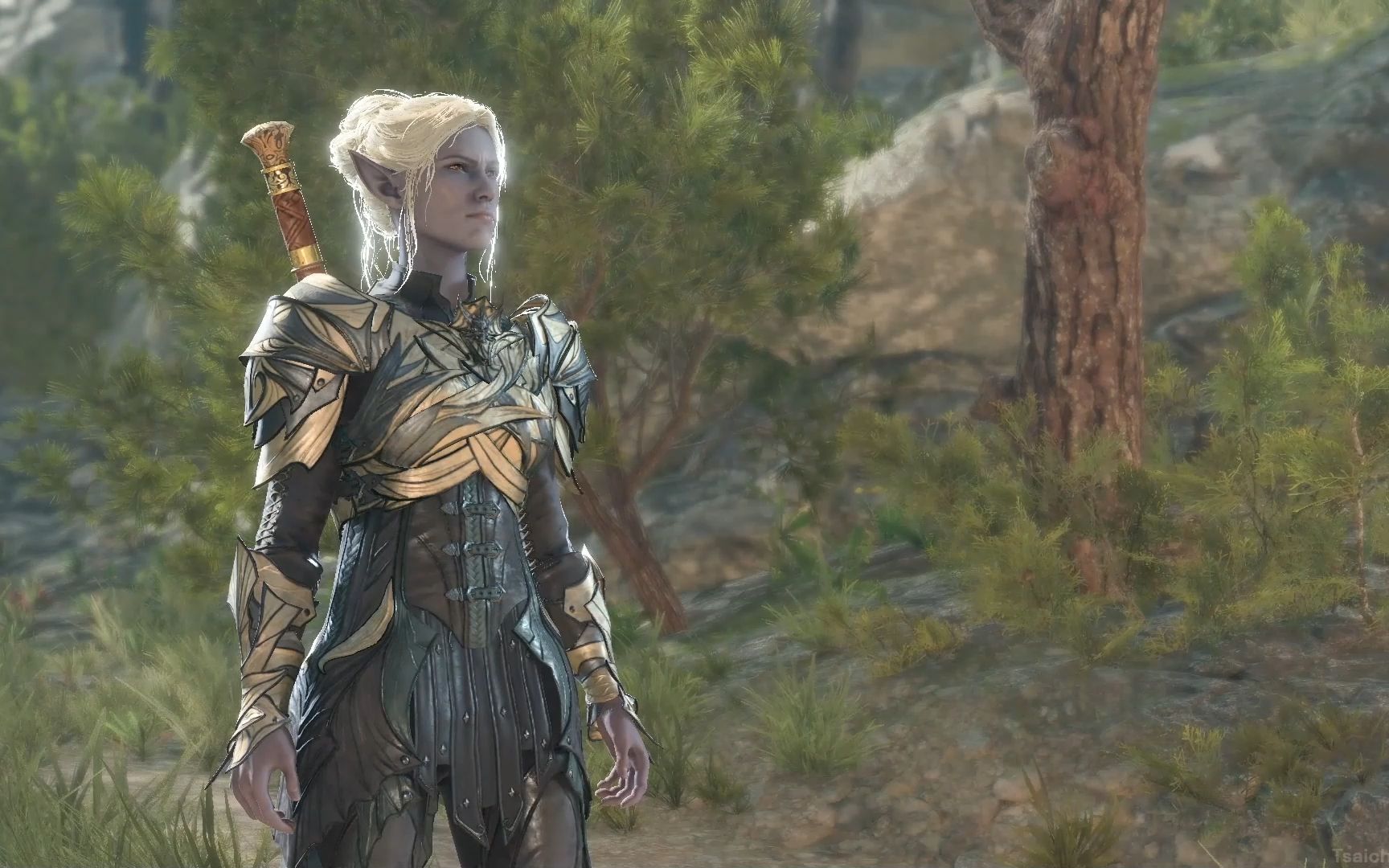 【动态壁纸分享】博德之门3-山隘-明萨拉