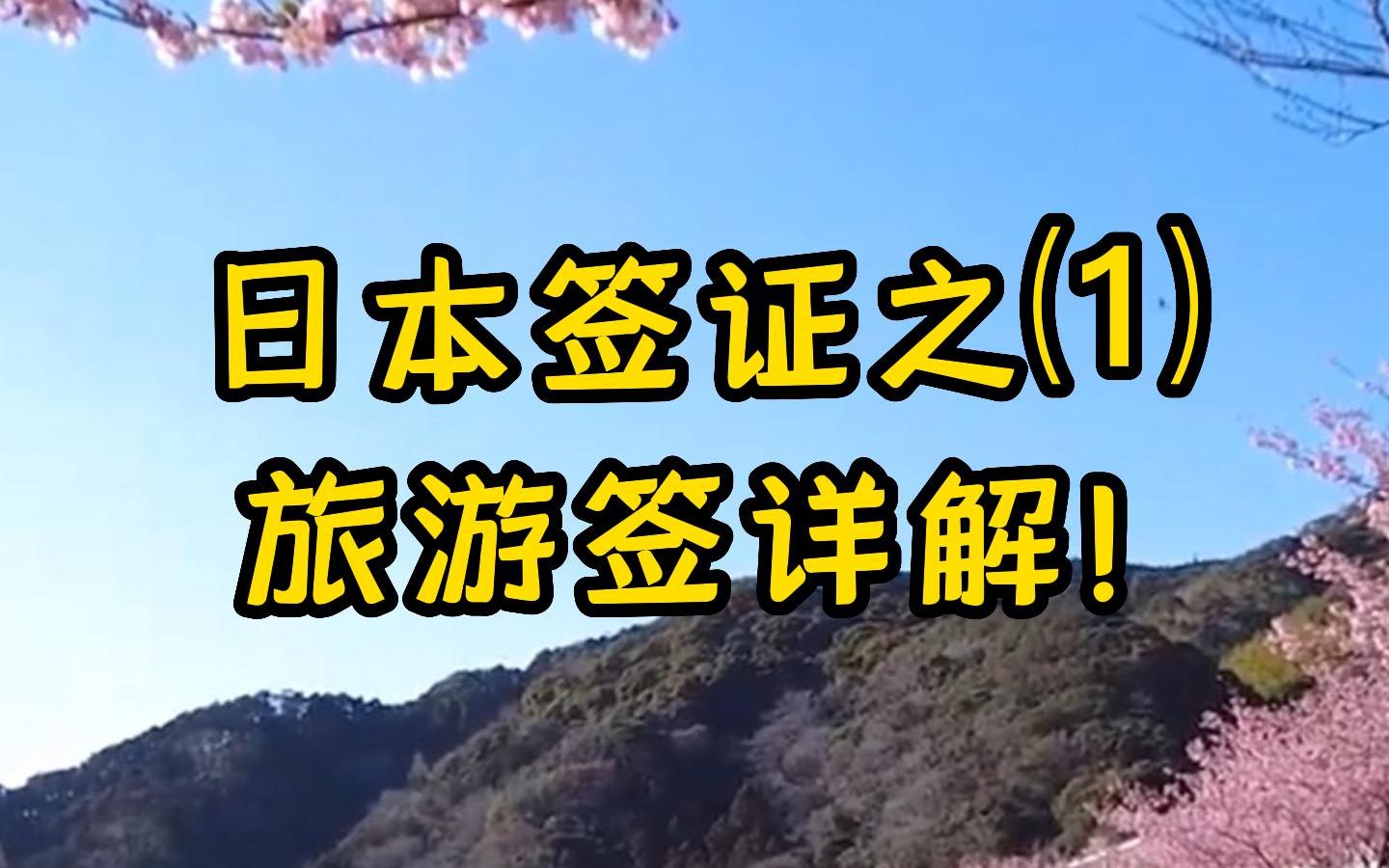 旅游签证哔哩哔哩bilibili