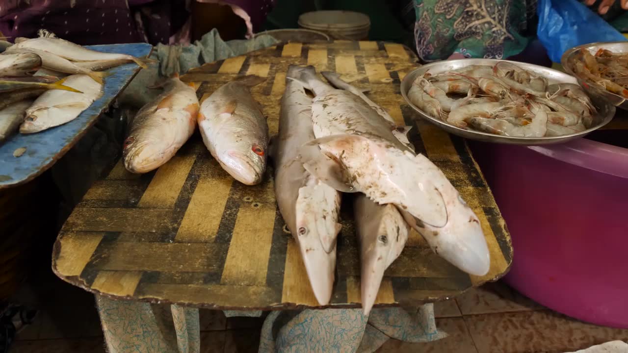 亲手教你做——咖喱鲨鱼_哔哩哔哩 (゜-゜)つロ 干杯~-bilibili