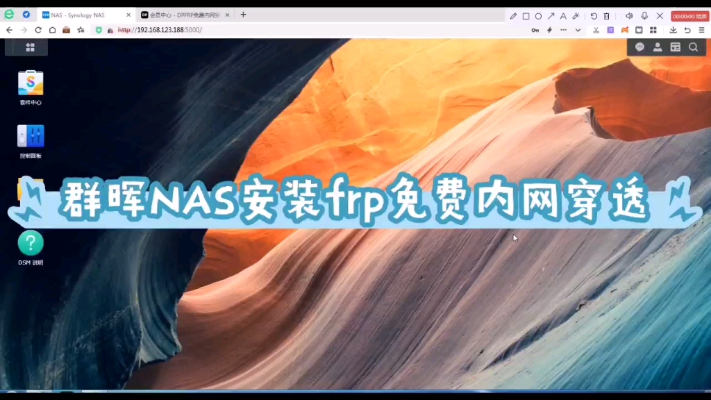 群晖NAS安装frp免费内网穿透DPFRP哔哩哔哩bilibili