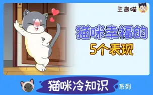 Download Video: 猫咪觉得幸福，会有这5大表现！快看看你养没养好主子吧~