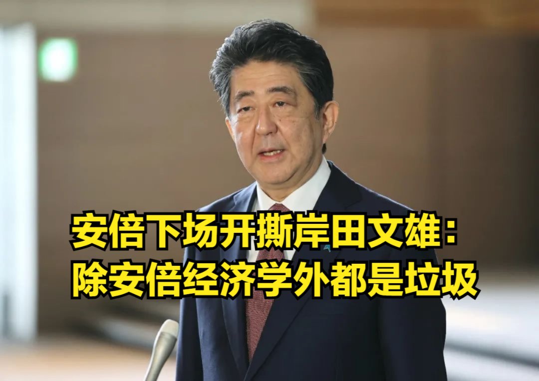 岸田宣传“新资本主义”,安倍下场开撕:除安倍经济学外都是垃圾哔哩哔哩bilibili