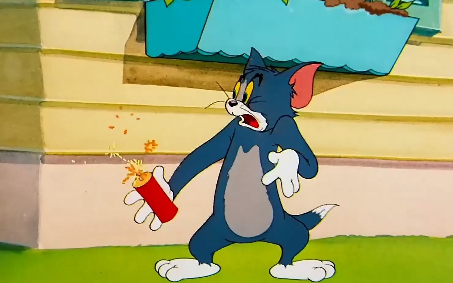 "每日一遍,防止抑郁""过年放鞭炮的反面教材"#猫和老鼠 (1)