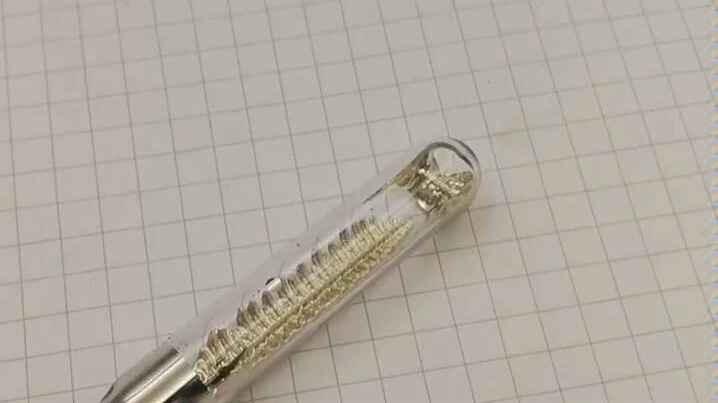 金属铯结晶后形成了鱼骨状晶体