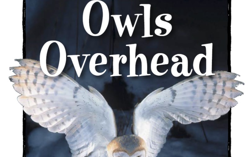 [图]英语分级阅读 RAZ O51 Owls Overhead