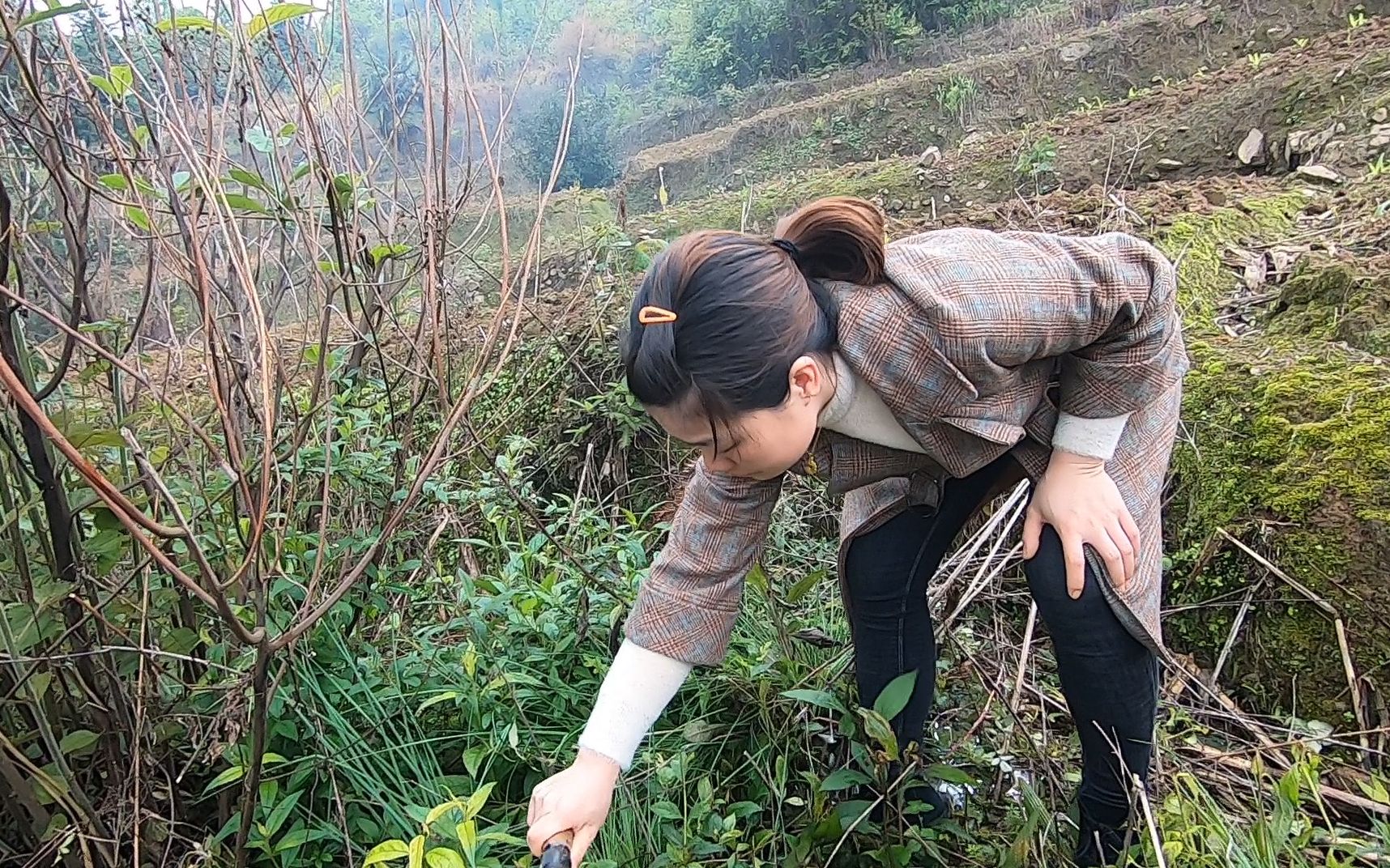 [图]湖南农村清明节：公公坟上长满了草儿媳用心扫墓，传统习俗真美！