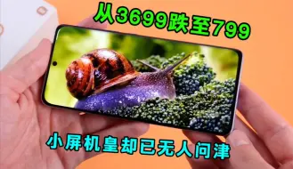 Download Video: 从3699跌至799？6.2英寸小屏机皇，堆料十足，却已无人问津