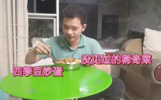 四季豆炒蛋 搜索结果 哔哩哔哩 Bilibili