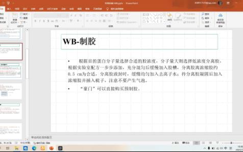 生物学必备实验技能WB电泳哔哩哔哩bilibili