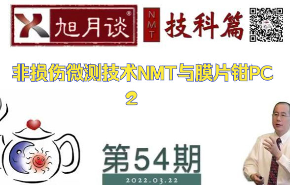 非损伤微测技术NMT与膜片钳PC2哔哩哔哩bilibili