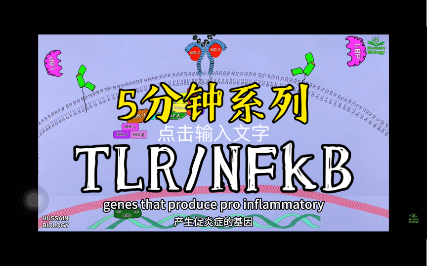 TLR/NFkB信号通路大揭秘(油管搬运)/终于学会了哔哩哔哩bilibili