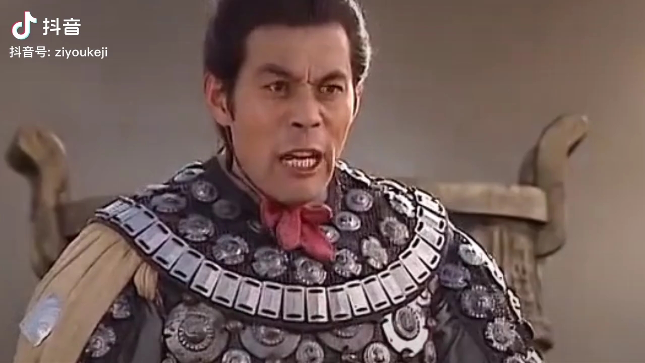 老贼,我与你势不两立