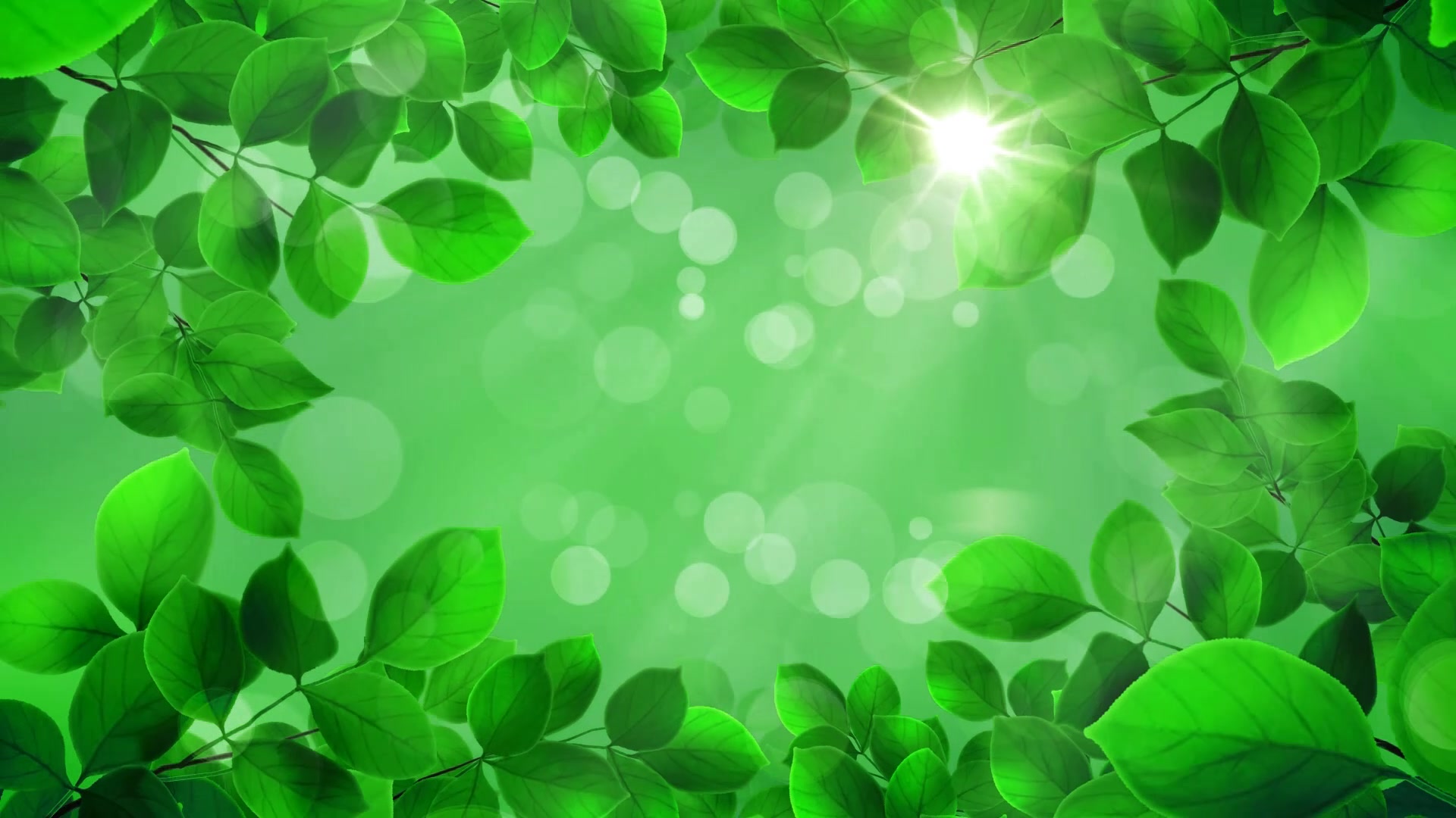 梦幻神秘森林led背景视频免费下载1_哔哩哔哩_bilibili