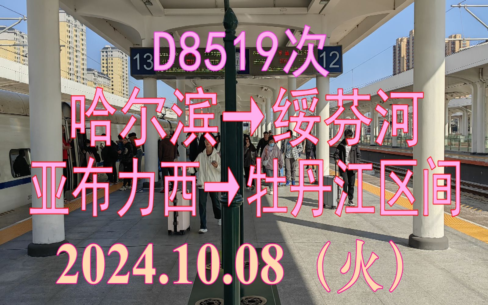 【原速】2024.10.08 D8519次(哈尔滨→绥芬河)动车组亚布力西→牡丹江区间左前方视角POV哔哩哔哩bilibili