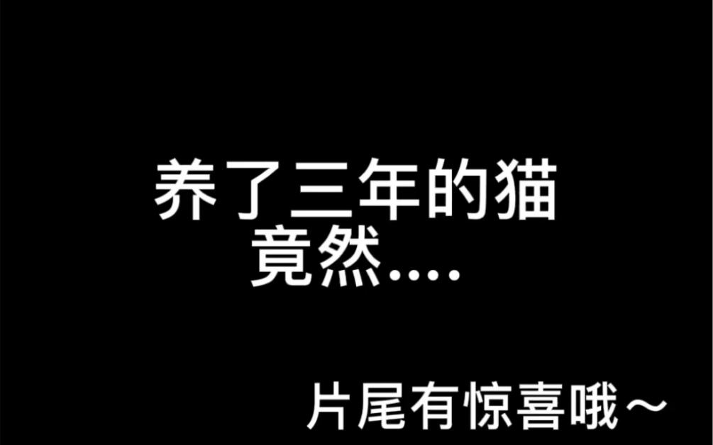 [图]【橘里橘气｜拟人化｜猫】当养了三年的猫一夜之间变成了人类 回到家的主人因好奇心要对猫咪做出….（记得看到结尾哦～）