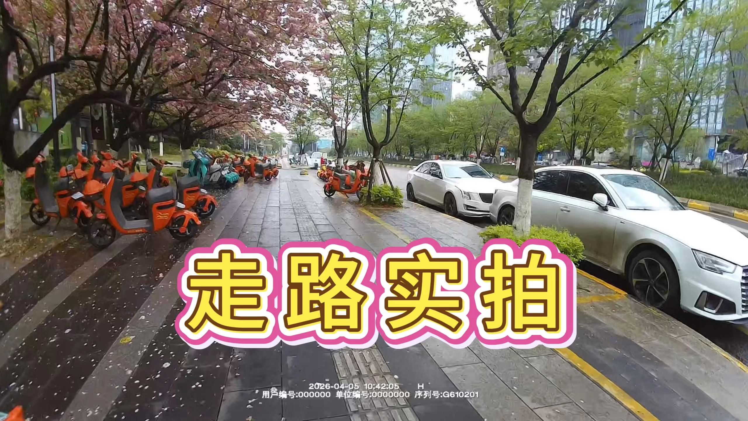 第28集：樱花树下步行实拍（警翼F8）