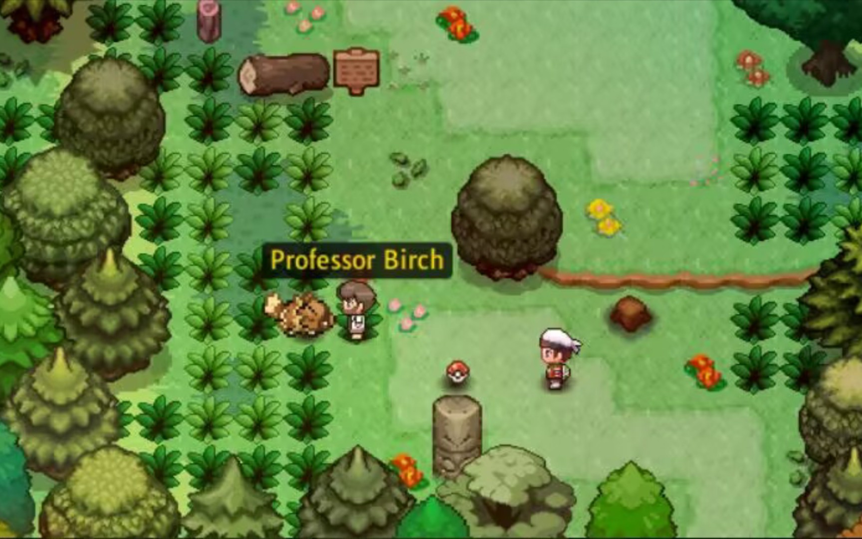 宝可梦新游 pokemonblazeonline 丰源地图展示和mega展示 口袋妖怪