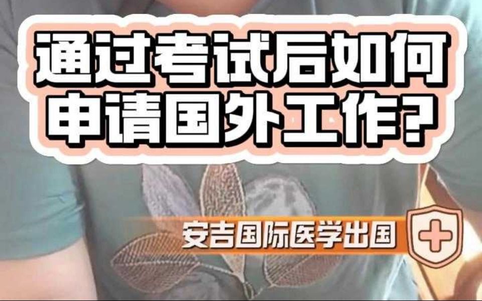 通过考试后如何申请国外工作哔哩哔哩bilibili