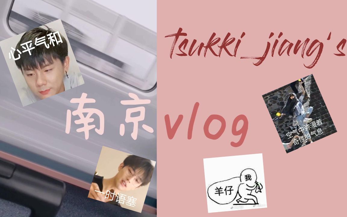 没错这是一个19年10月份的vlog!高糊的羊仔和妖扬你还爱吗??【tuskki 南京vlog 上】哔哩哔哩bilibili